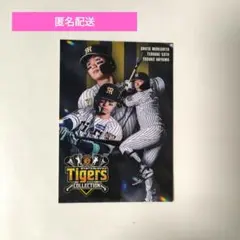阪神タイガース Tigers Collection