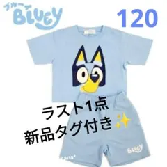 【新品タグ付き✨】ブルーイ なりきり半袖上下セット120　完売品