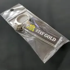 2026年最新】ステイ・ゴールドの人気アイテム - メルカリ