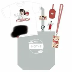 Item thumbnail for item 3abbb95d-555d-4730-925b-523693fe9035