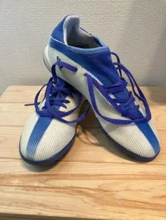 Item thumbnail for item e43bcab7-37ba-4550-bccc-3a0a5ffcedf6