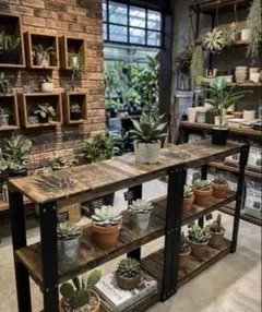 植物育成棚】IKEAラック×GEXパワーX 3基搭載（アガベ・塊根植物用