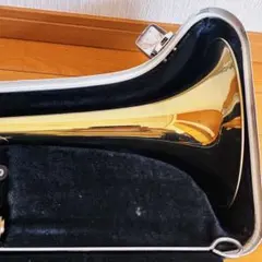 Item thumbnail for item 556c5b9d-1d16-4903-ba2e-f2e3c55666c3