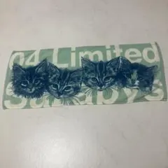 04 Limited Sazabys マフラータオル 猫