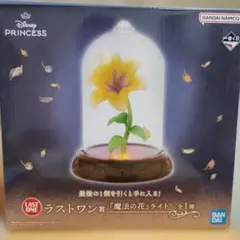 2025年最新】ラプンツェル LEDライトの人気アイテム - メルカリ