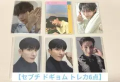SEVENTEEN DK トレカ 6点セット