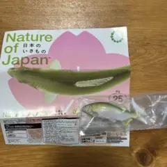 ＶＩ様 リクエスト 2点 まとめ商品