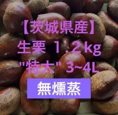 ルーク⭐︎プロフ読んで下さい様　生栗　10キロ 楽天市場】生栗 銀寄の通販