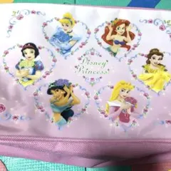 ディズニープリンセス　バッグ