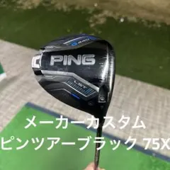 ぺいg440LST 美品 2025年最新】G440LSTの人気アイテム - メルカリ