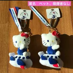 【 激レア 】美品 タグ付き ハローキティ ぬいぐるみ 大分限定 ご当地キティ 2026年最新】大分限定キティの人気アイテム - メルカリ