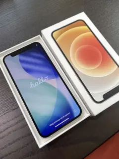 Apple iPhone 12 mini 256GB