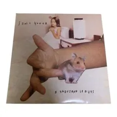2026年最新】SONIC YOUTH A THOUSAND LEAVESの人気アイテム - メルカリ