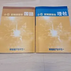 小5 夏期講習会 算数 - メルカリ