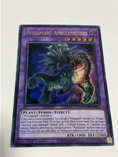 捕食植物アンブロメリドゥス　英語版　EU版