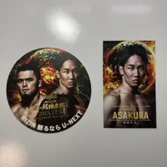 Item thumbnail for item b2b2e880-5eed-4650-b1ce-60a00a3e5493