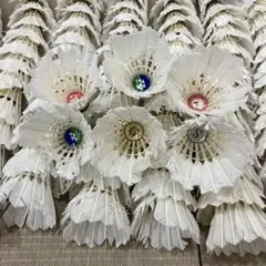 Item thumbnail for item 4edc2497-4a36-48f6-a67c-3abbb9bb8586