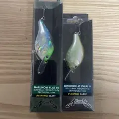 Item thumbnail for item ff8d8860-0eaf-4663-b887-5072632d1705