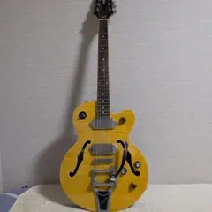 2026年最新】wildkat epiphoneの人気アイテム - メルカリ