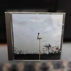 Cluster & Eno CD アンビエント