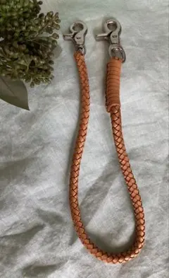 Item thumbnail for item 919591bc-45a7-48f2-832b-ece8d07c5d67