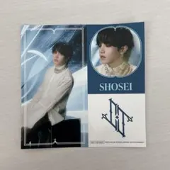 BECLASSIC ステッカー　大平祥生