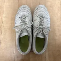 Item thumbnail for item 22235e2b-a809-44e6-aeaa-fe7175c59bfe