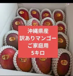 数量限定 宮古島産アップルマンゴー4㎏(訳あり品) クール便配送