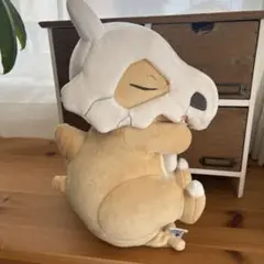 おやすみカラカラ Pokemon Sleep もっちりぬいぐるみ ポケモン
