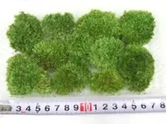 sunface master様 リクエスト 5点 まとめ商品