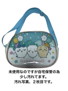 Item thumbnail for item b41e98b3-77b7-44db-a237-df1c9a07e092