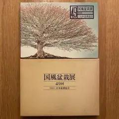 2026年最新】国風盆栽展の人気アイテム - メルカリ