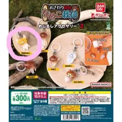 なめこ栽培キット めじるしアクセサリー2 天使なめこ