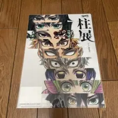鬼滅の刃柱展 集合 A4クリアファイル