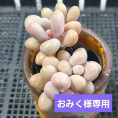 おみく様 リクエスト 3点 まとめ商品