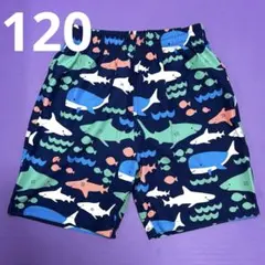 キッズ サメ柄 水着 120 MOMASONG