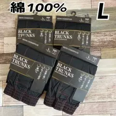 Item thumbnail for item 62142e75-e3bd-4cdd-a8a8-e52cd96dae13