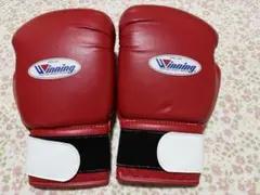 2025年最新】ウイニング グローブ 14 オンスの人気アイテム - メルカリ