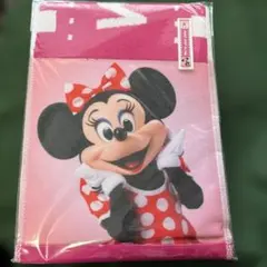 新品　 ディズニーリゾート　ミニー　デイジー　タオル