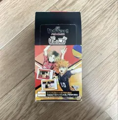 劇場版ハイキュー!! ゴミ捨て場の決戦 ぱしゃこれBOX 10パック入り