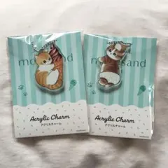 《モフサンド》アクリルチャーム☆2種2点 mofsand ファミマ限定