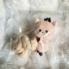 RIIZE シュシュ ソンヨンドリ ウンソク 2026年最新】ウンソク シュシュの人気アイテム - メルカリ