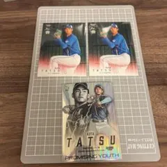 Item thumbnail for item 313c59cc-aadf-4c17-8aef-db4707b862a8