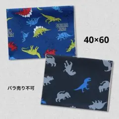 ☆給食ランチョンマット 大きめ 恐竜ダイナソー 2枚セット6