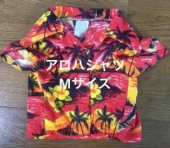 Item thumbnail for item b5290f59-7735-45f6-92bb-249ed3beebef