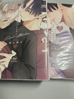 2026年最新】パーフェクトアディクション」の人気アイテム - メルカリ