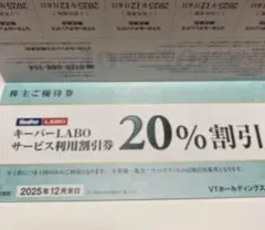 キーパーキーパーラボ20%オフ VT HOLDINGS 株主優待券