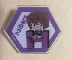 名探偵コナン　DAISO ダイソー　アクリルクリップ　灰原哀　未使用　袋付き