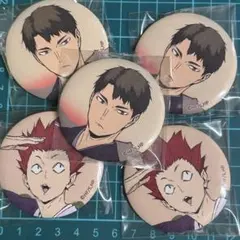 ハイキュー　排球四季景～春の陣～　缶バッジ　白鳥沢　牛島若利　天童覚　セット