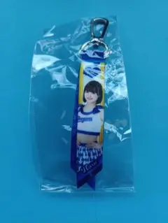 中日ドラゴンズ HARU チアドラ ミニボンフィン ドラゴンズガチャ